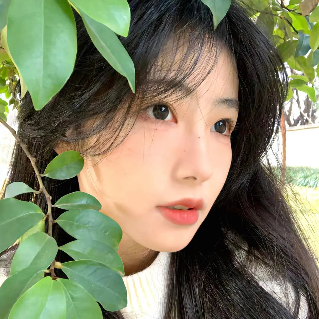 安曼女神 封面